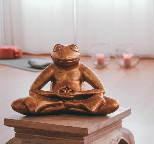 yogaschule bothfeld kristine führmann